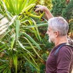 Baterijski vrtni škropilnik ZI-DS2V-AKKU