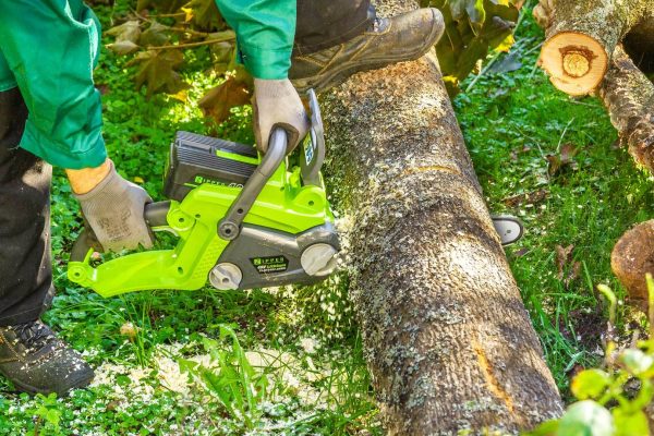 Verižna žaga 40V ZI-KTS40V-AKKU