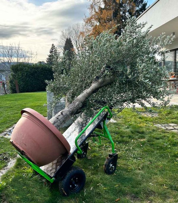 Električni voziček ZI-ET260