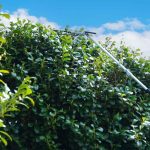 Set za vzdrževanje vrta ZI-GPS252